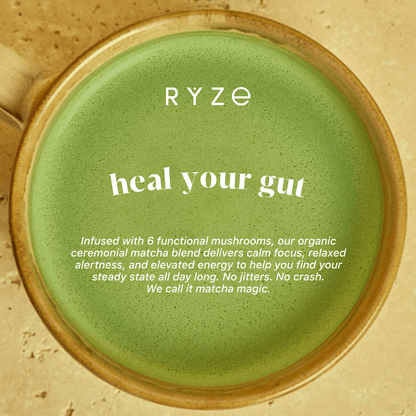 RYZE Organic Mushroom Matcha Starter Kit (60 servi