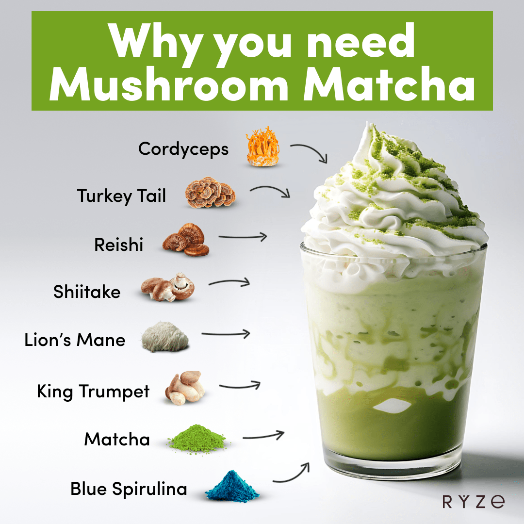 RYZE Organic Mushroom Matcha Starter Kit (60 servi