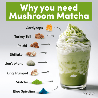 RYZE Organic Mushroom Matcha Starter Kit (60 servi